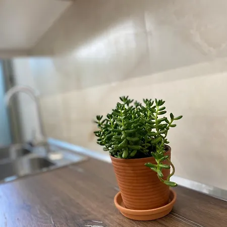 Flors Apartment Durres