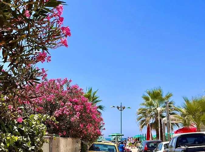Flors Durres